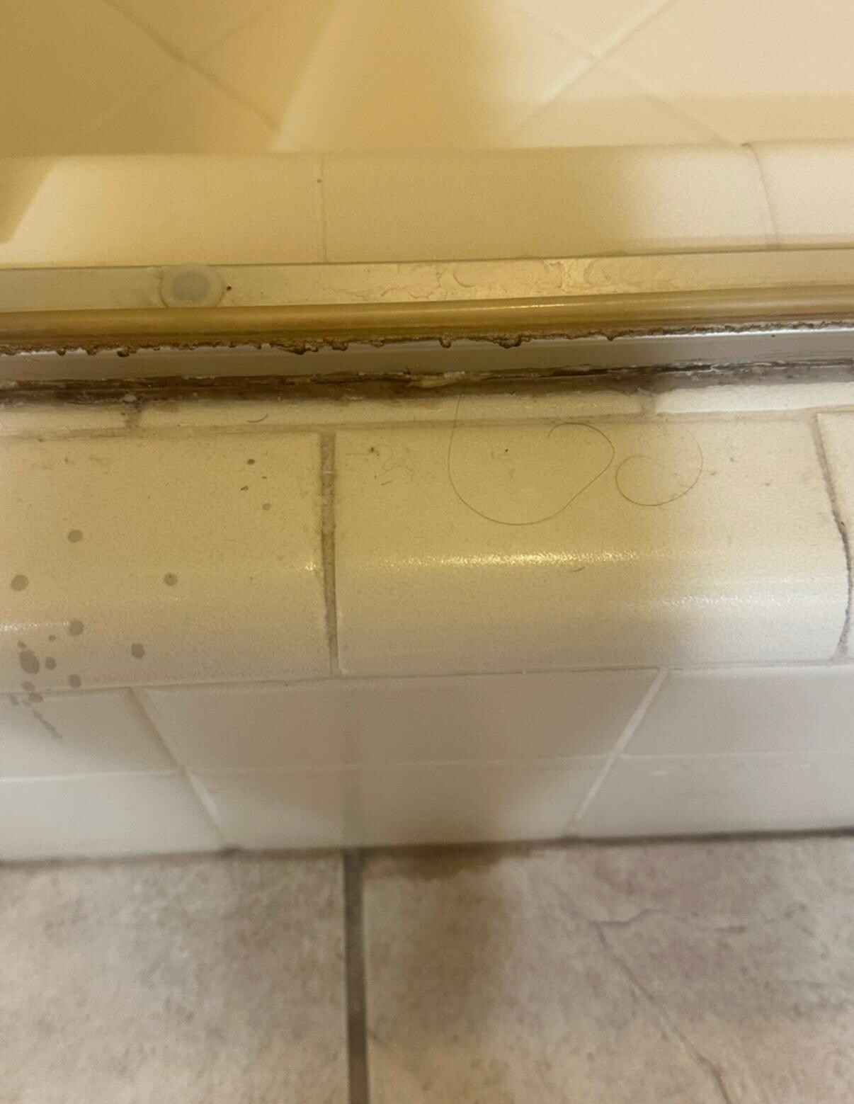 More hair and unclean looking shower.