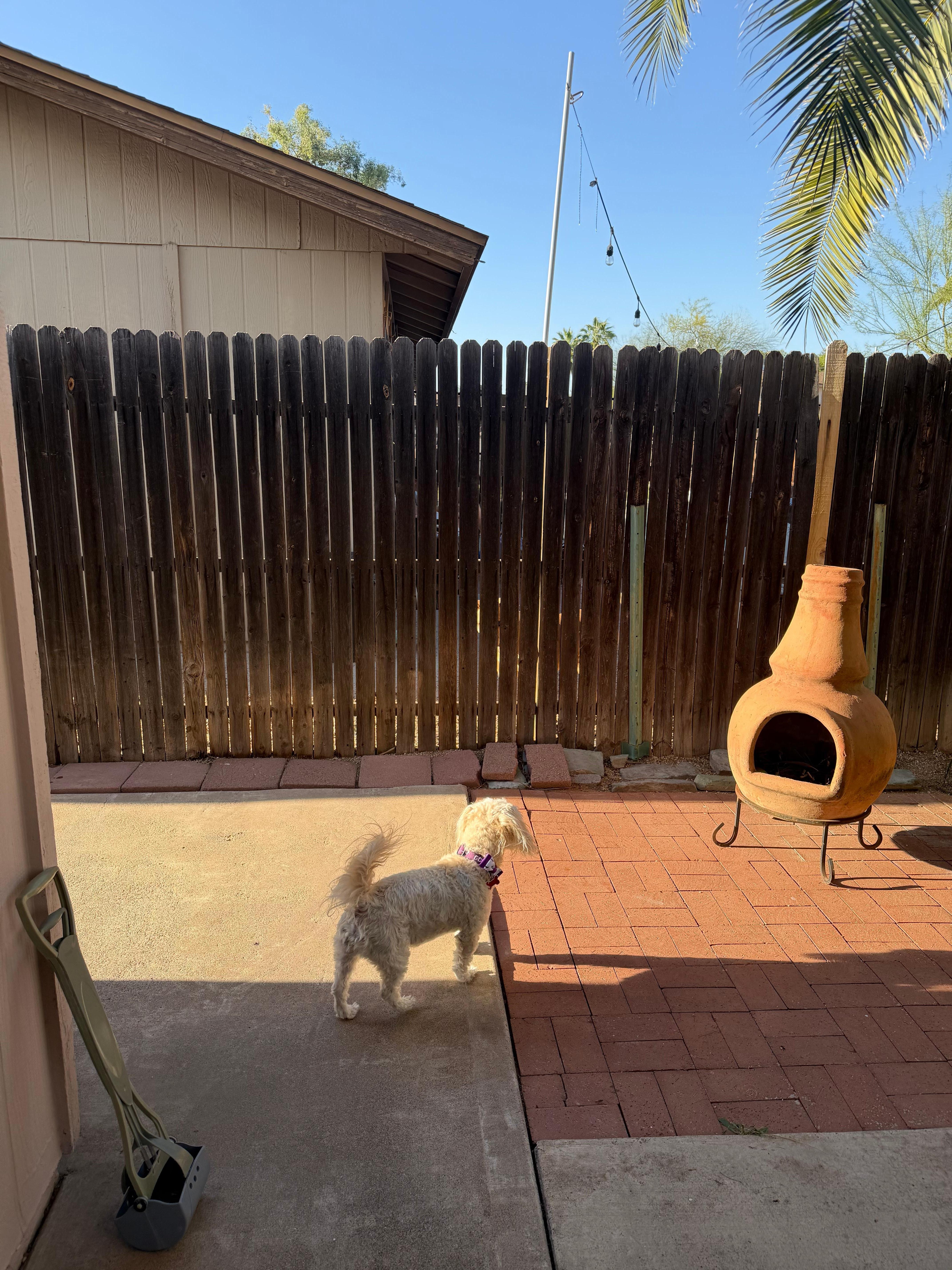 Completely fenced in yard.  