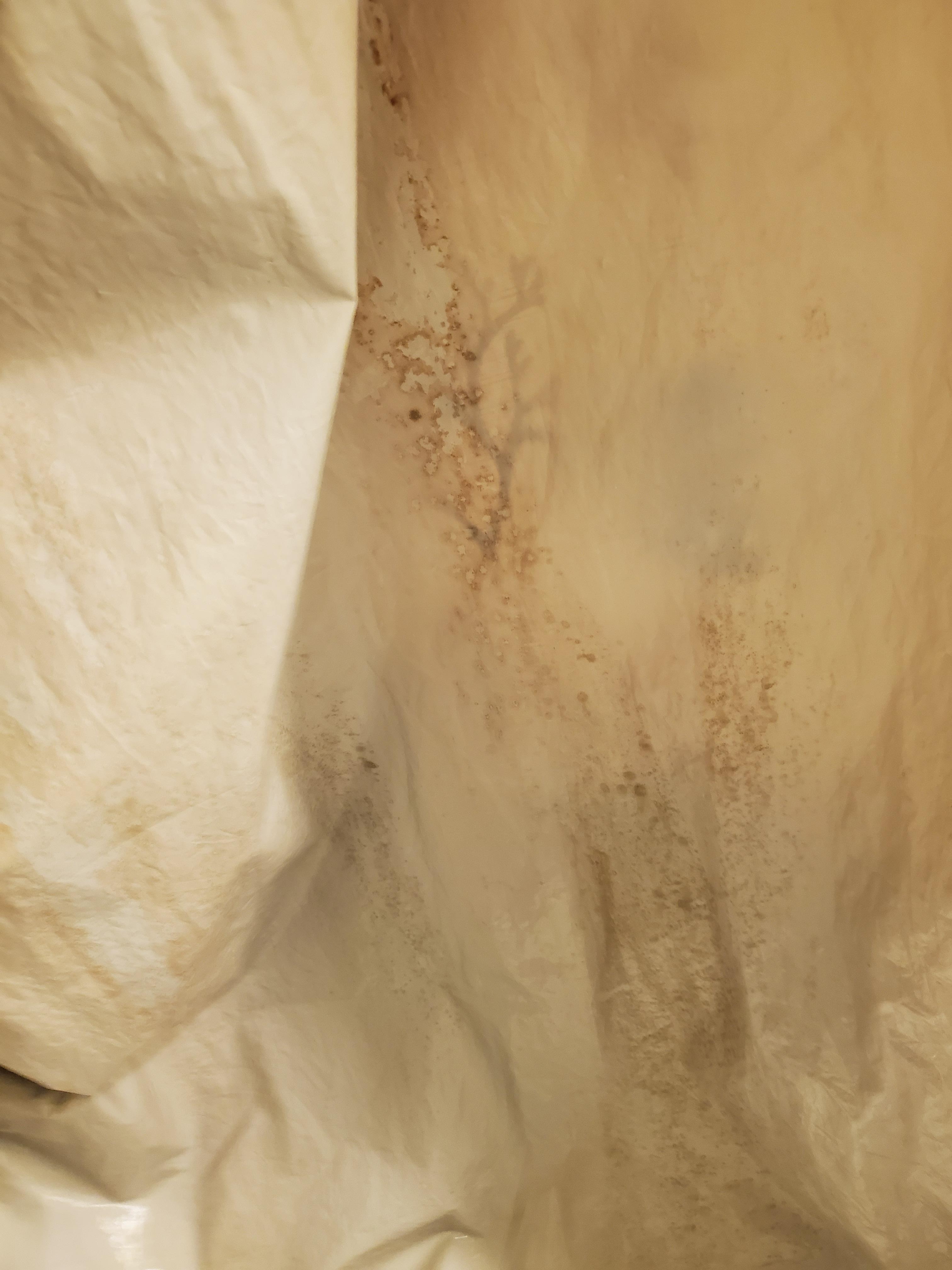 shower curtain liner was filthy and stained