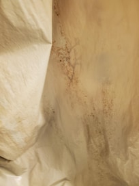 shower curtain liner was filthy and stained