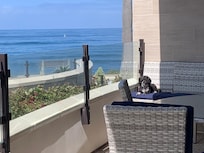 Puppy also enjoyed the views