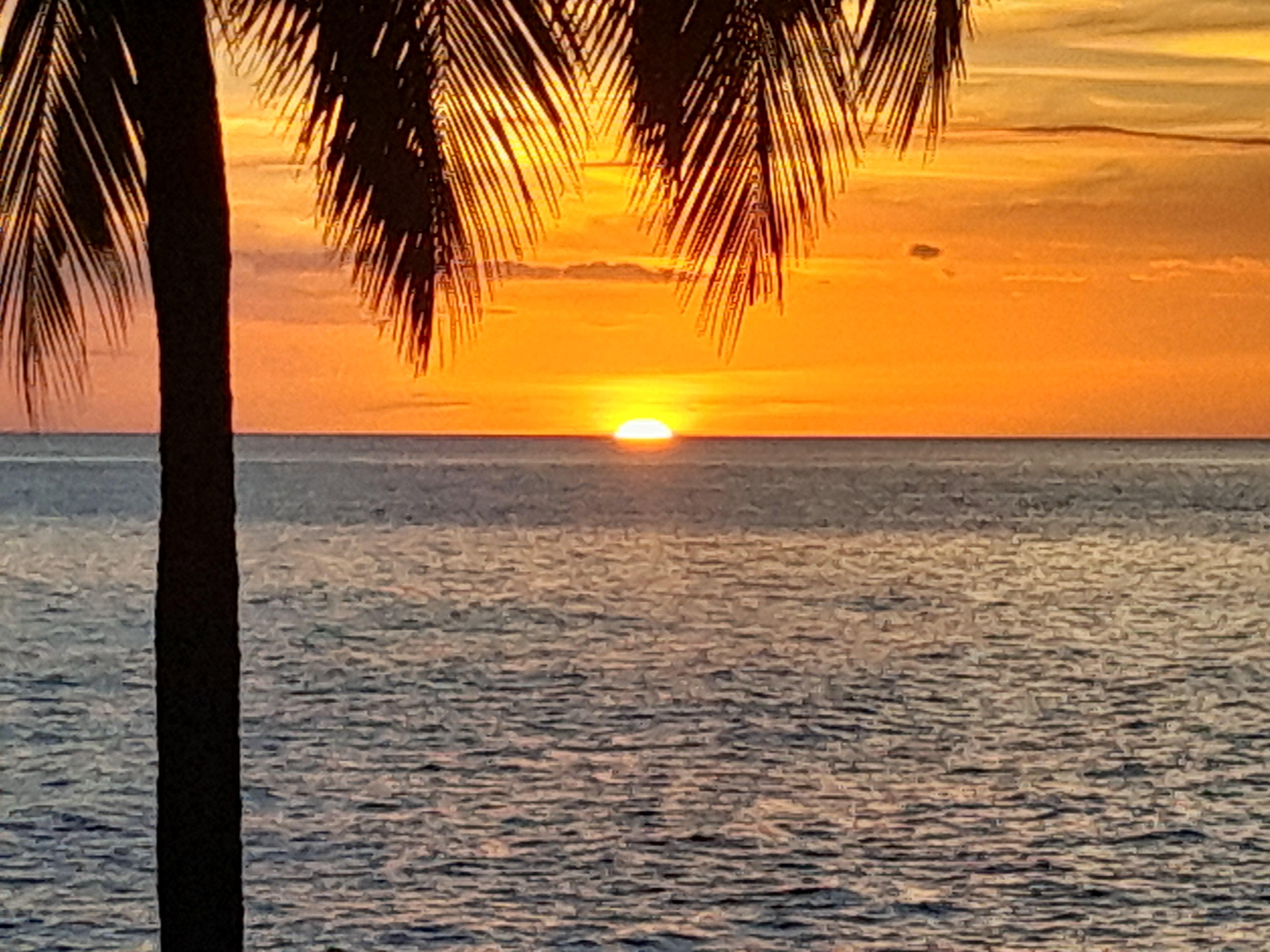 C est le programme télé du soir !!!