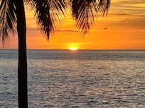 C est le programme télé du soir !!!