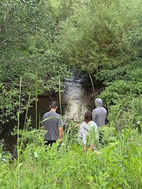 Fishing at the stream