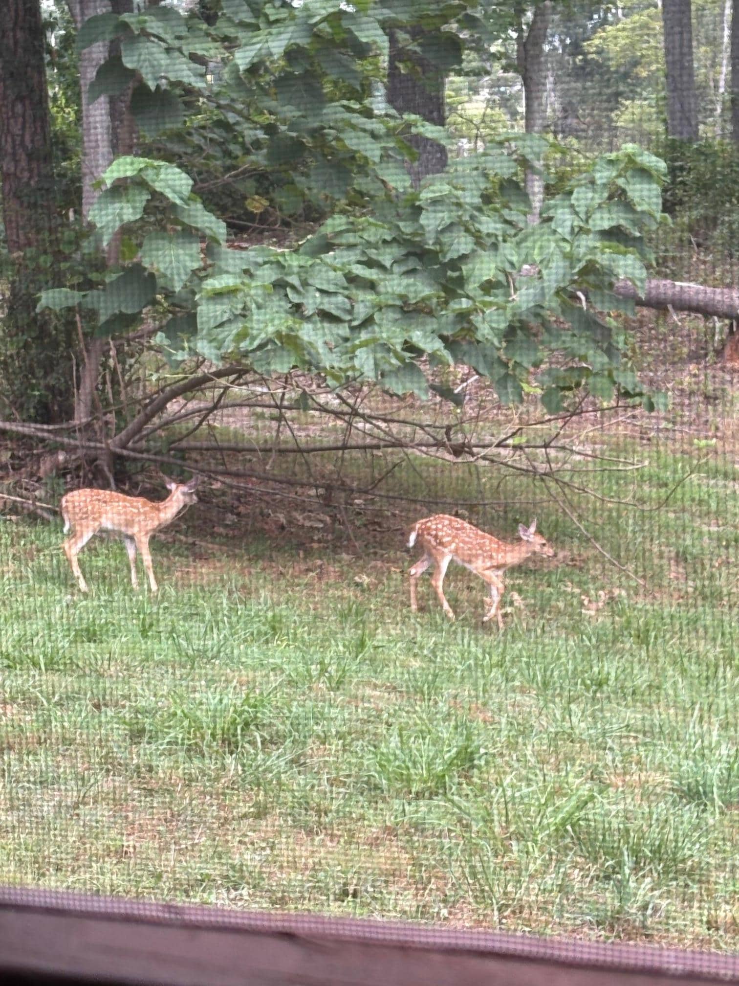 Visitors next to the screened in front porch.