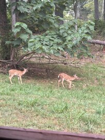 Visitors next to the screened in front porch.