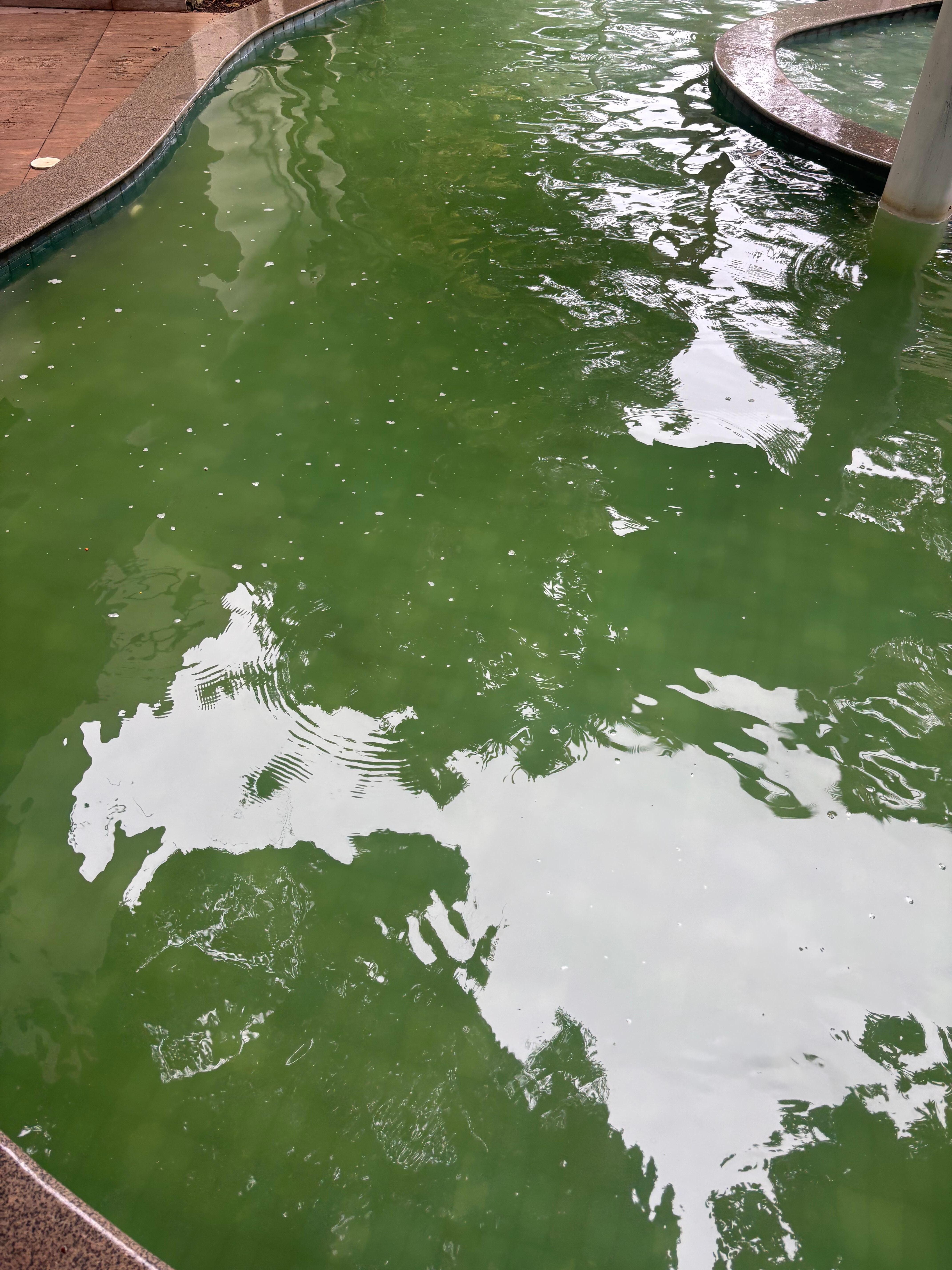 Piscina infantil com foco de dengue 