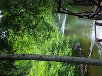 From the master bedroom