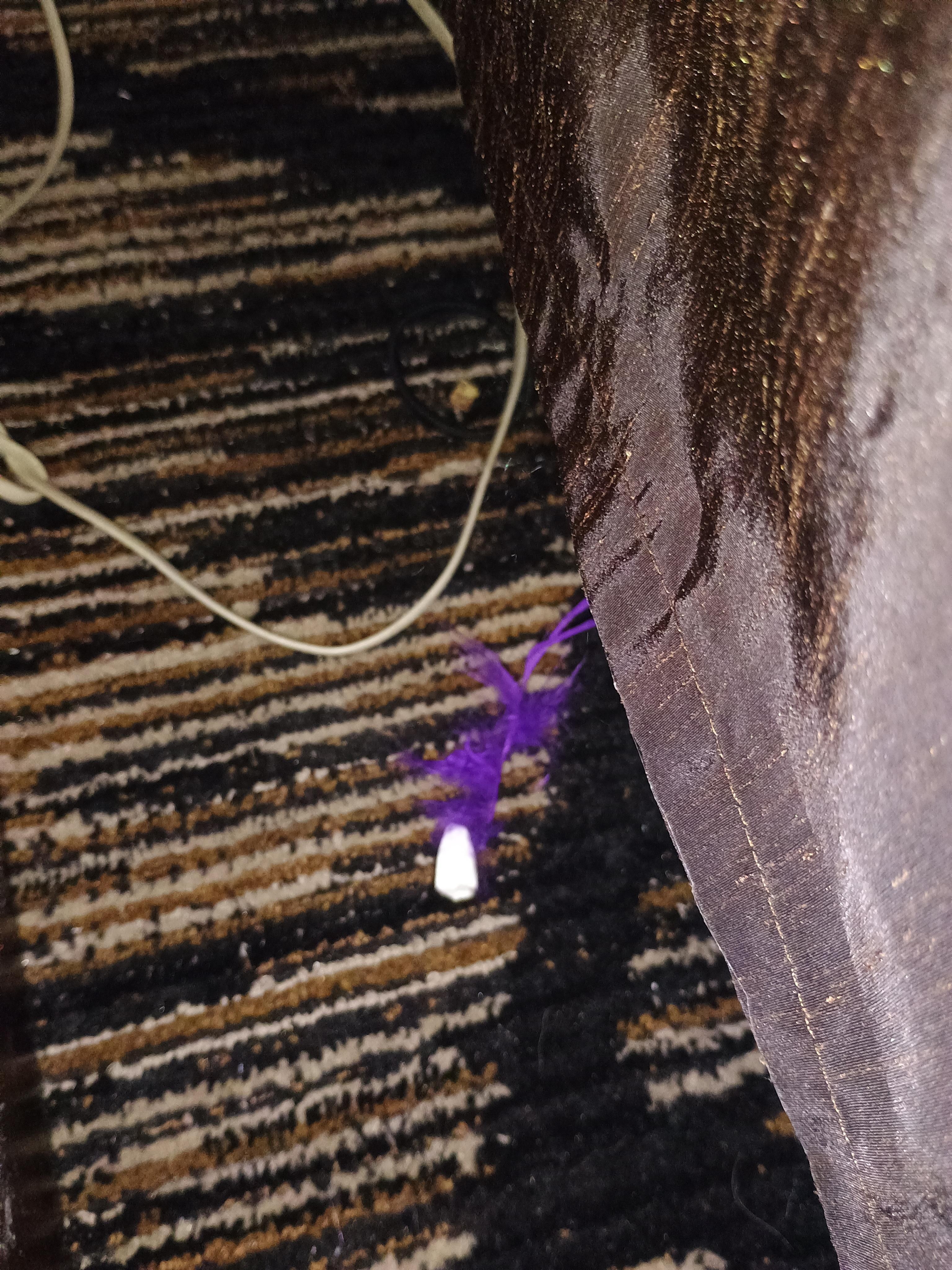 Dirty carpet and stuff left on floor next to bed