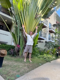 Awesome plants