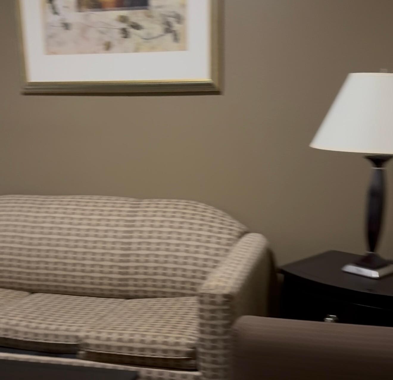 Sitting area, couch turns into full size bed