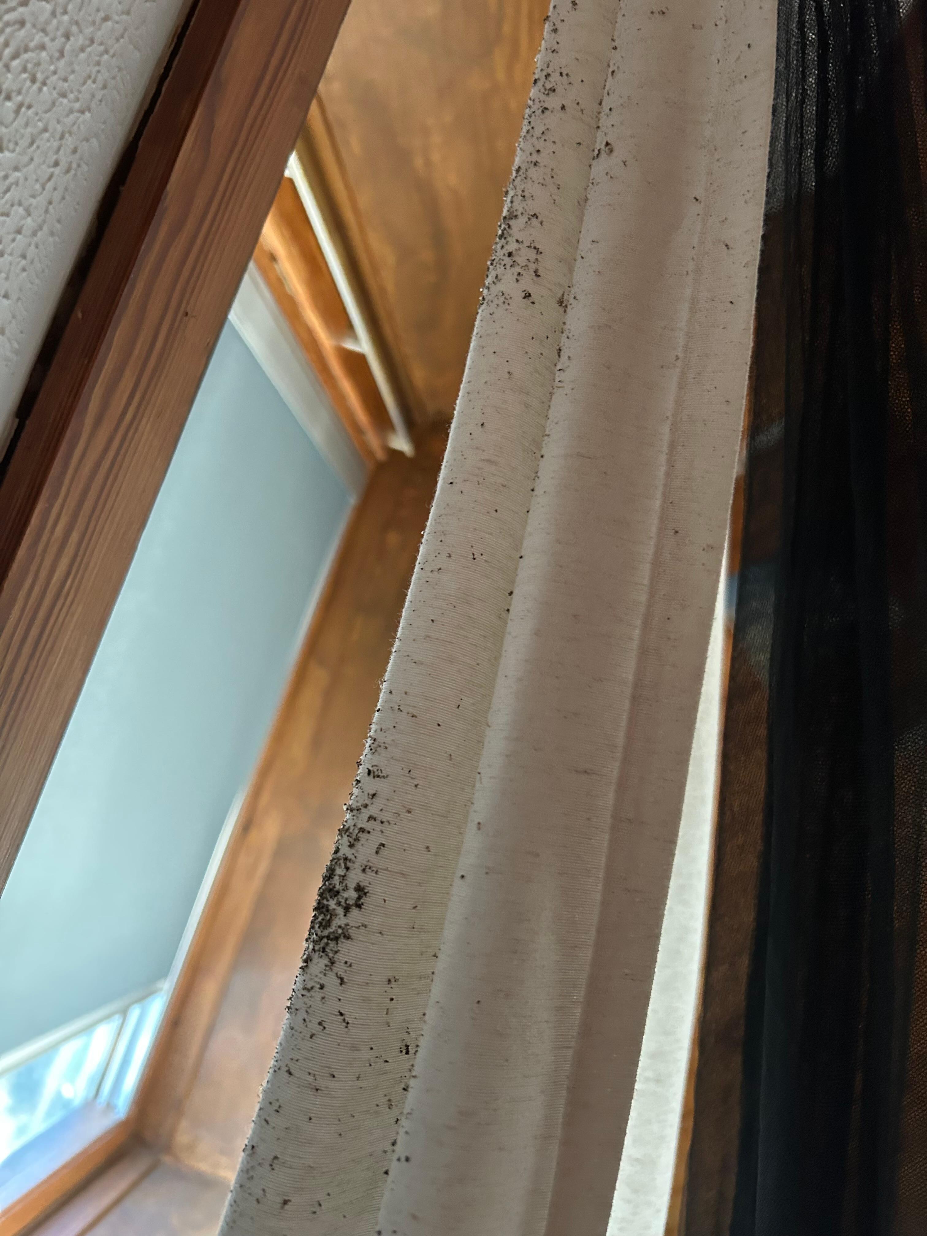 Curtain above bed