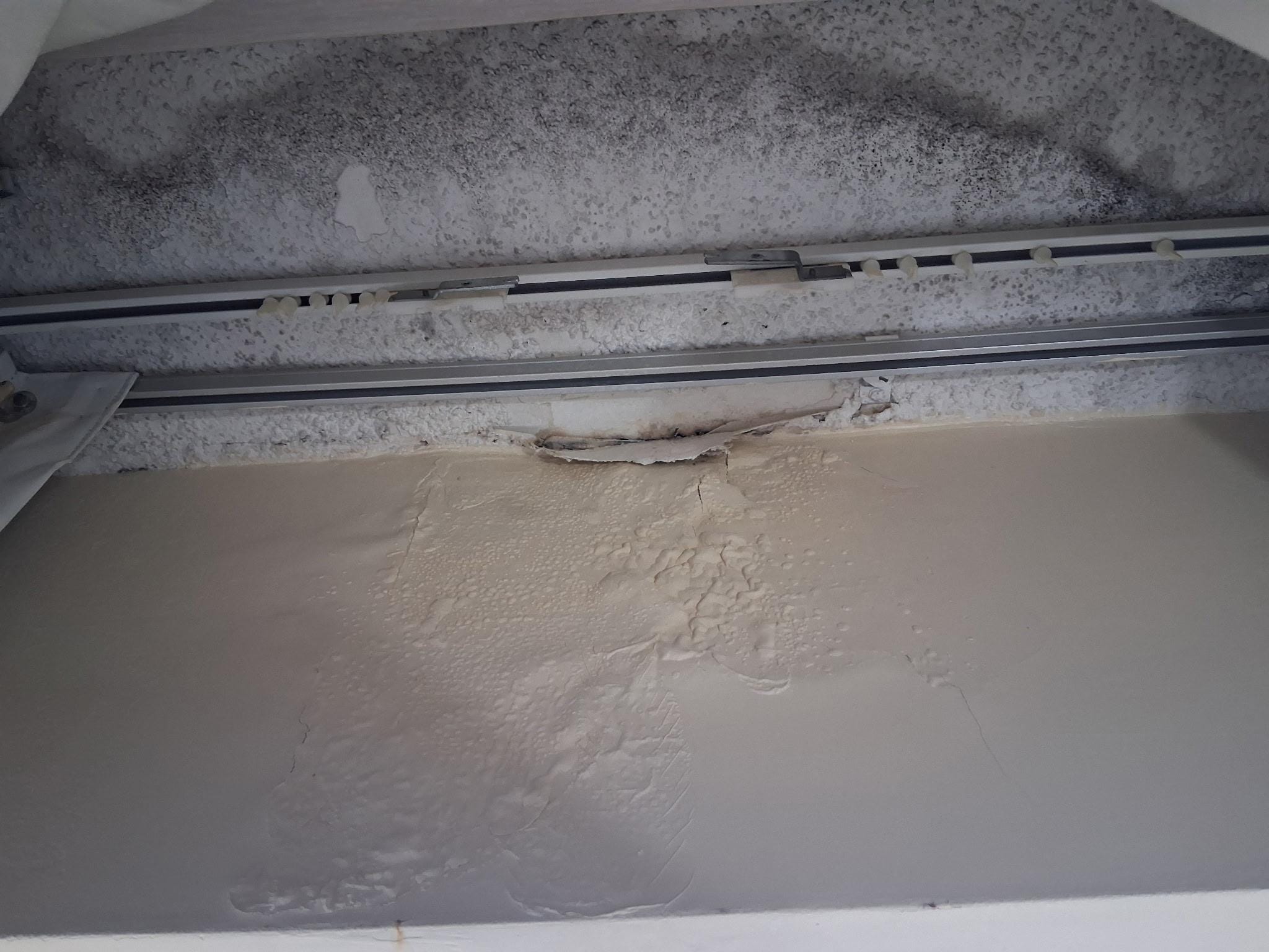 Mold/leaking ceiling