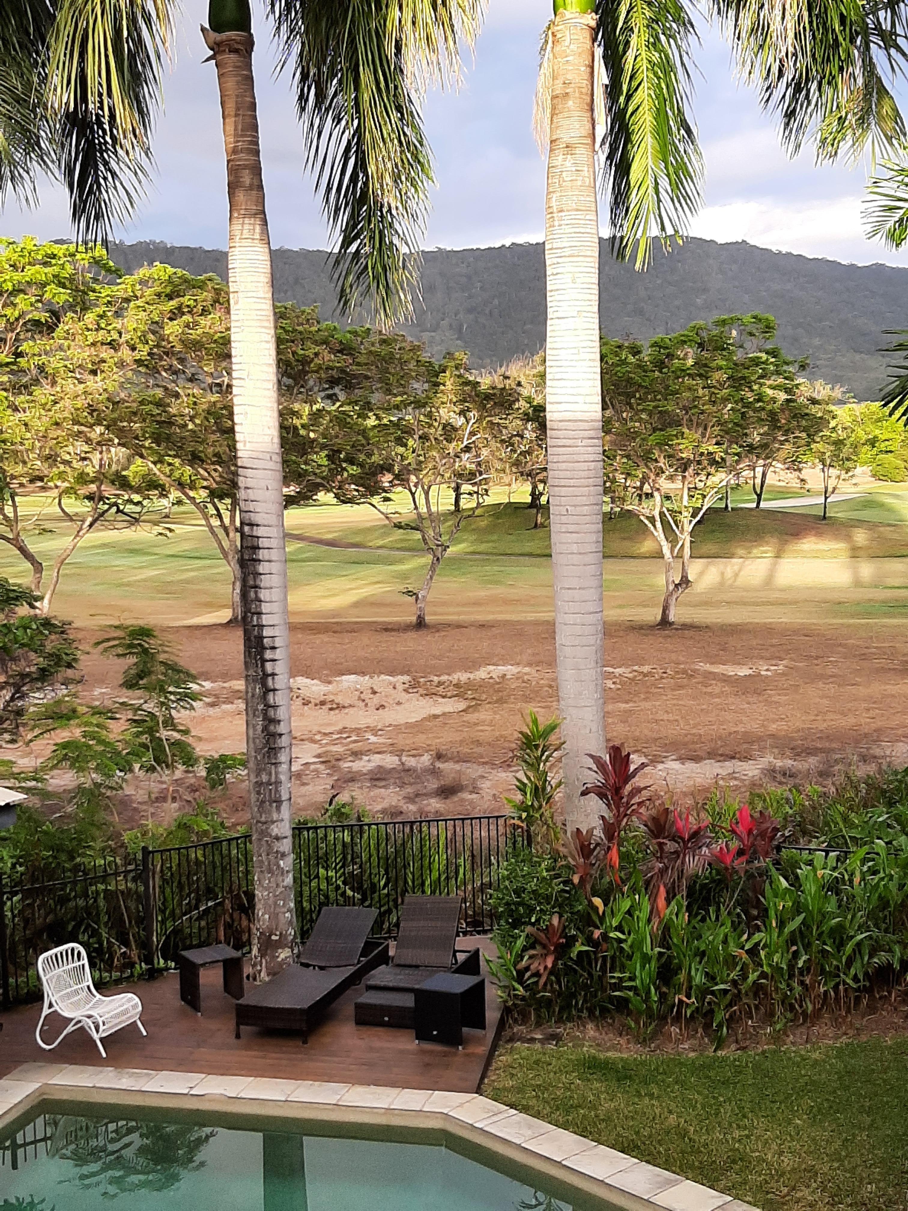 Early morning light through trees on the golf course.