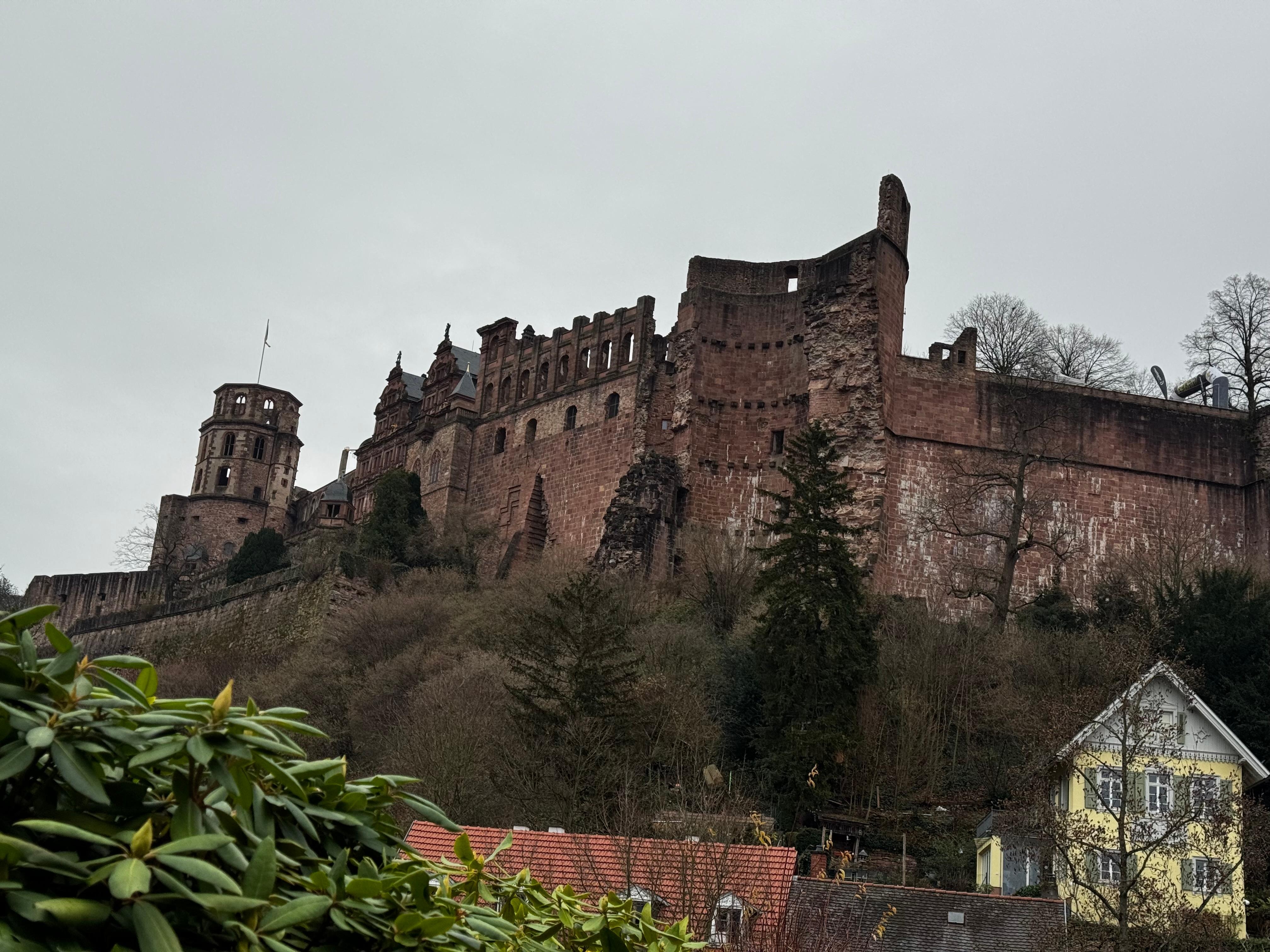 From our bedroom window. What a way to start your day