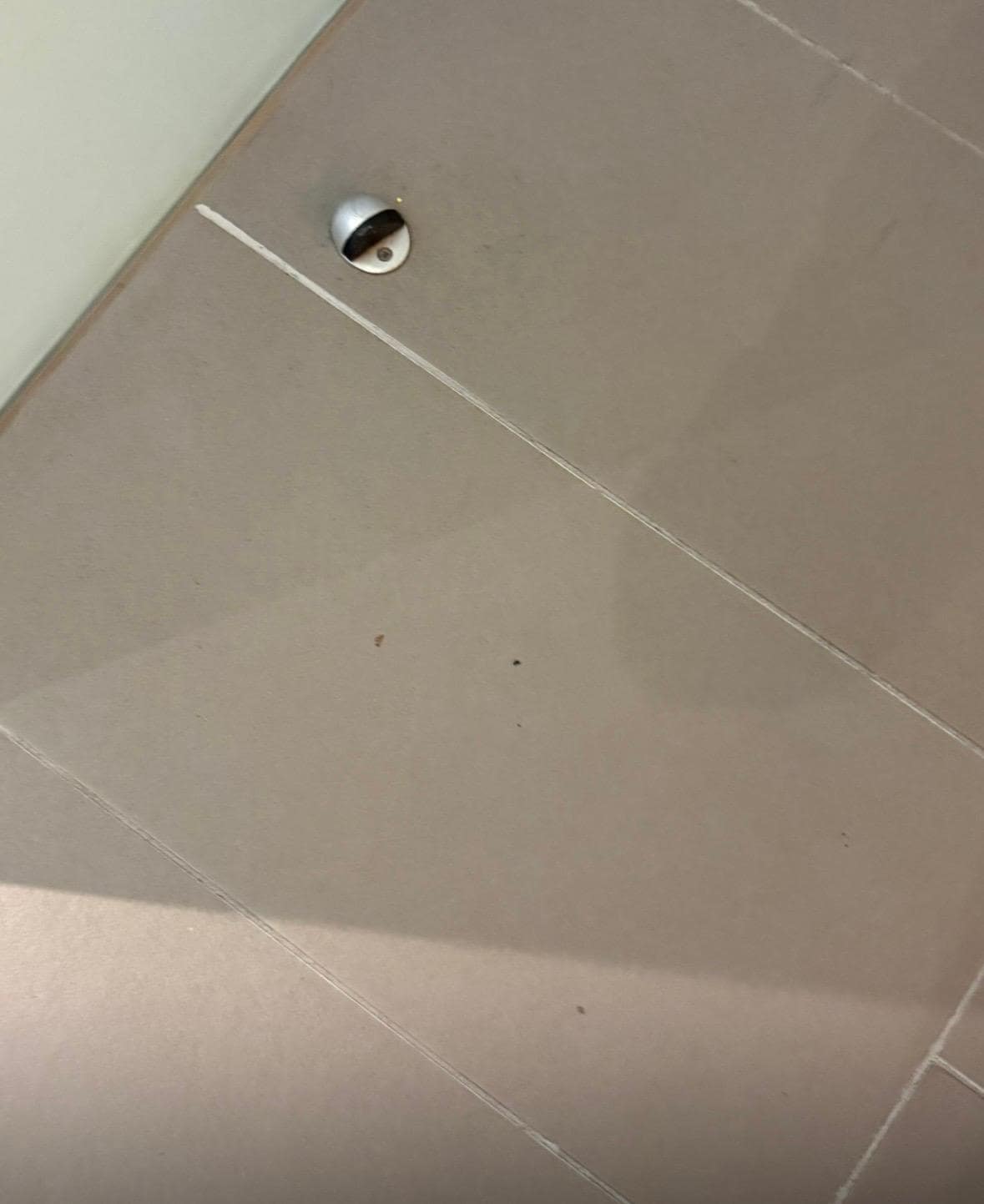 Schmutz am Boden nicht gesaugt