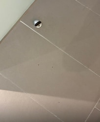 Schmutz am Boden nicht gesaugt