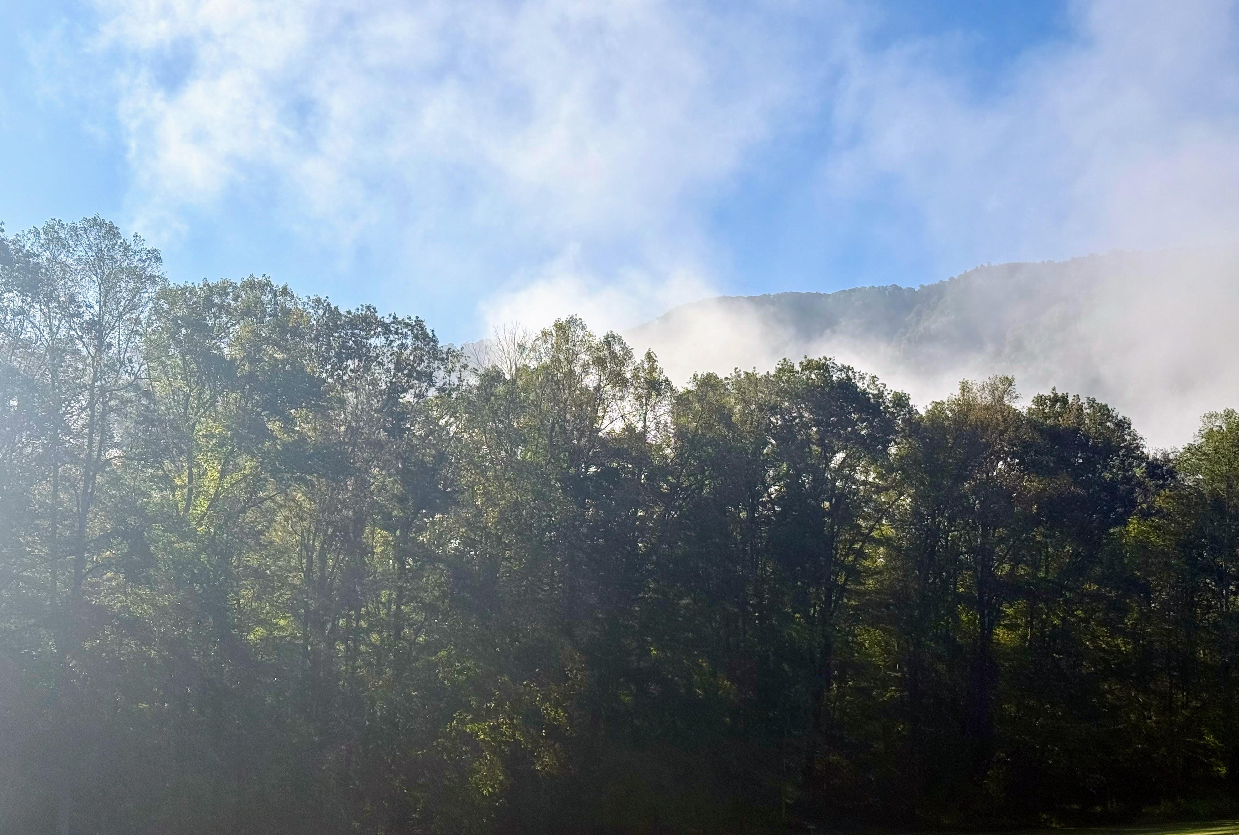 View of the fog retreating from the back deck.