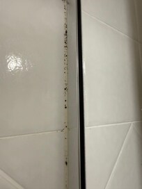 Had to resist the urge to go buy some Exit Mould and clean it myself.