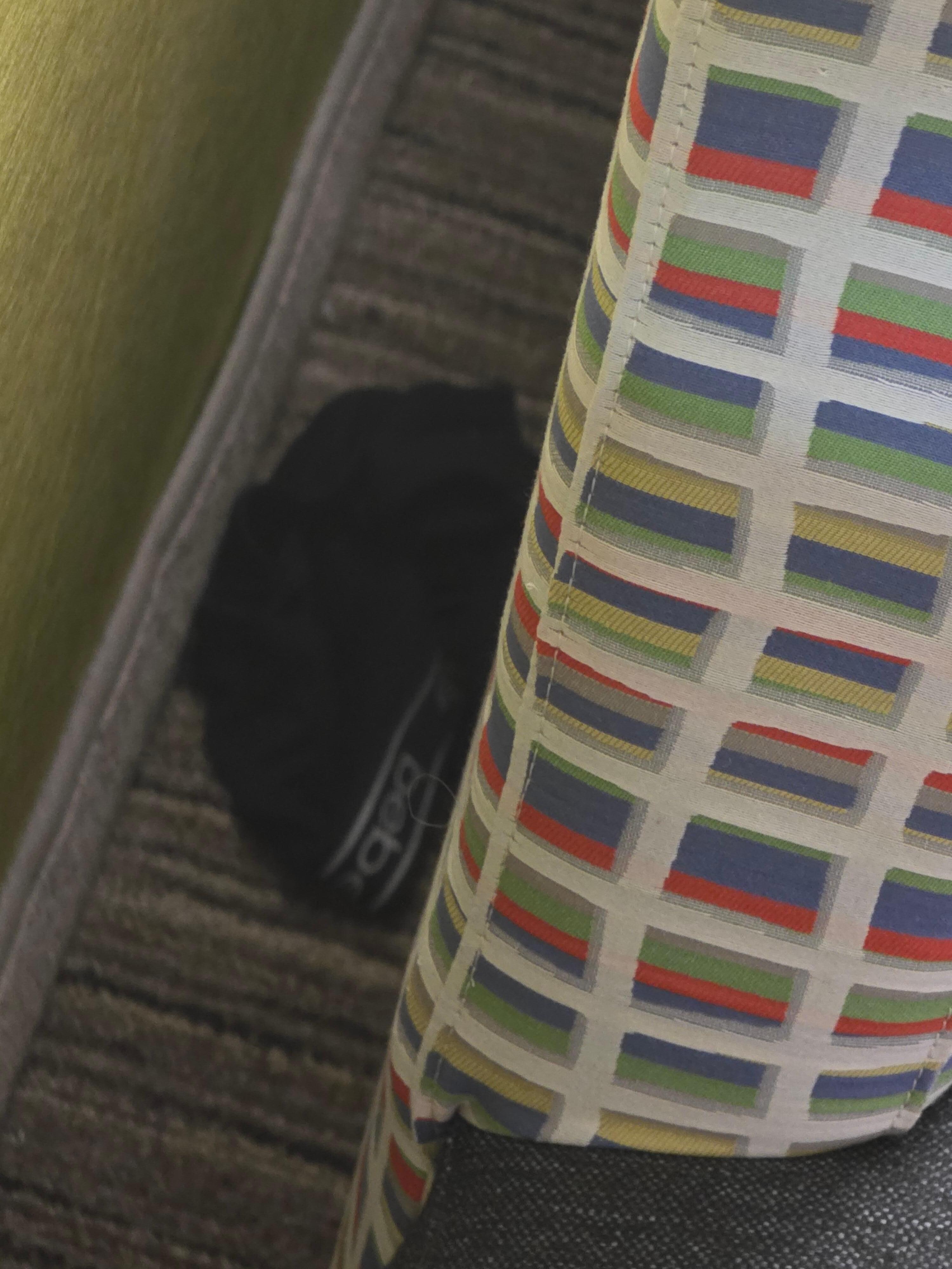 Underwear from previous guest