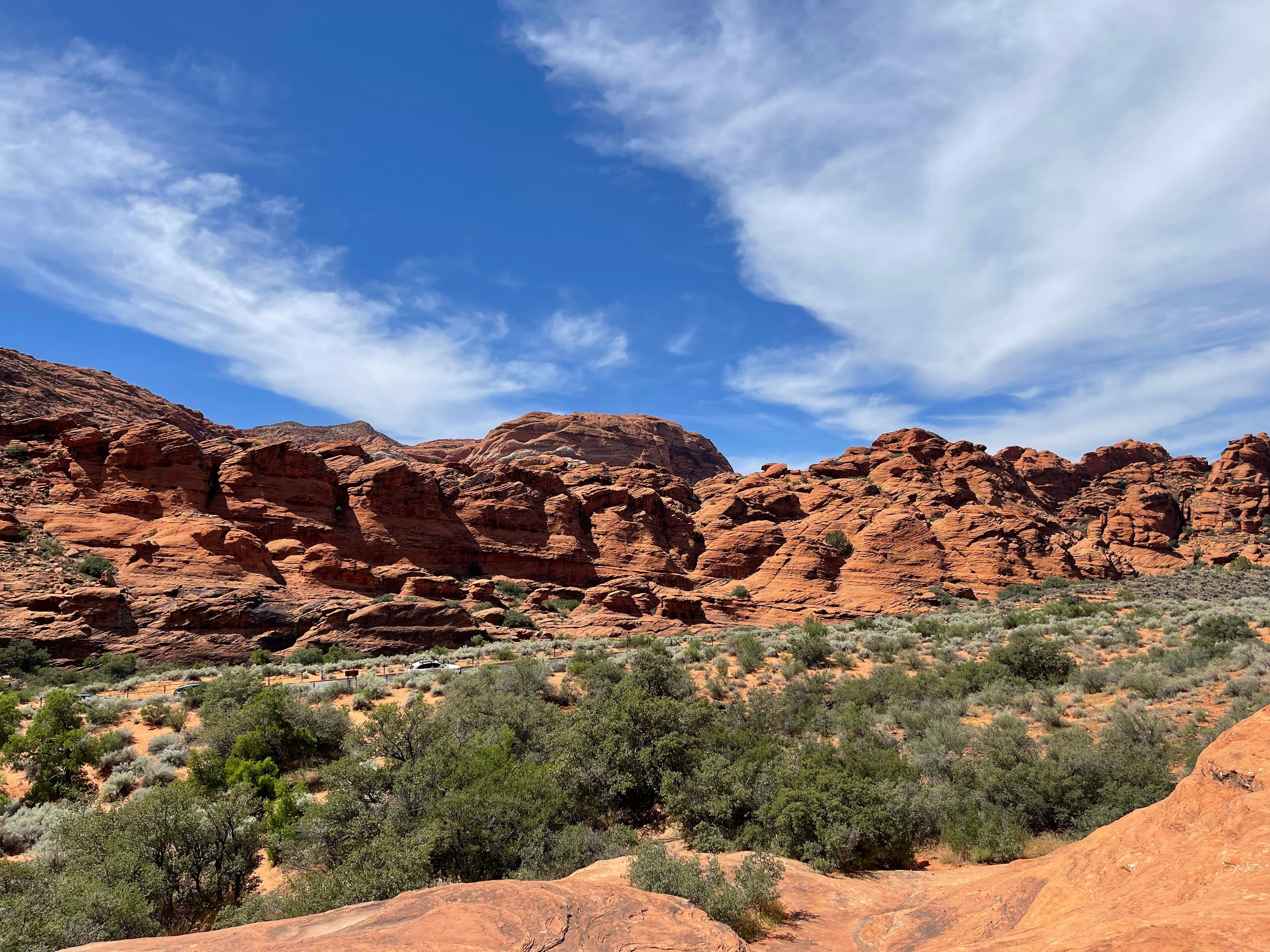 Nearby Snow Canyon State Park is worth a visit!