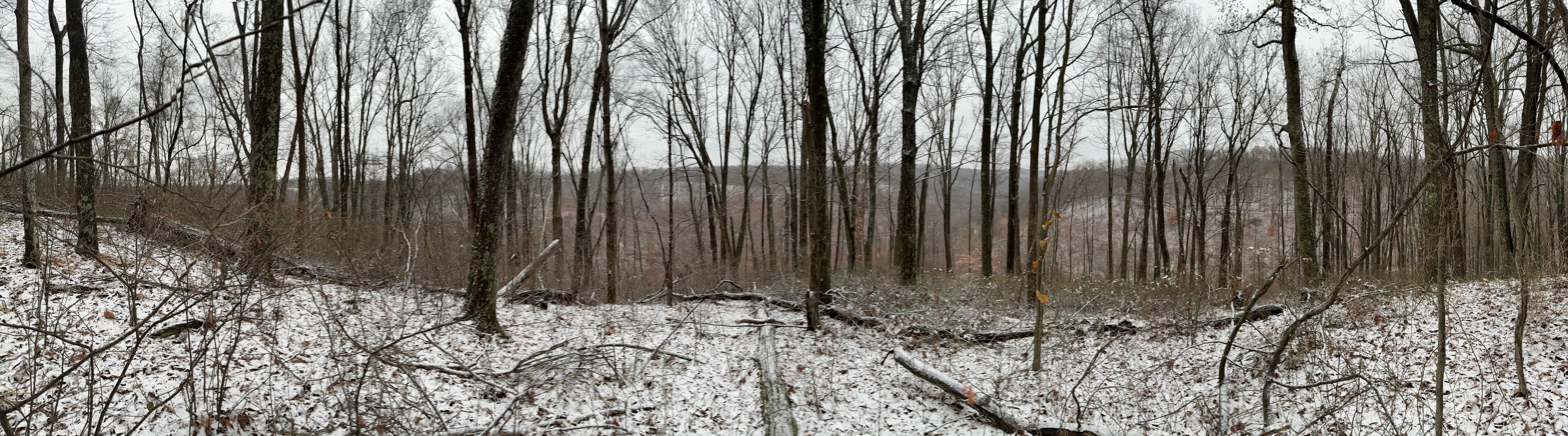  View from a short hike on the property. 