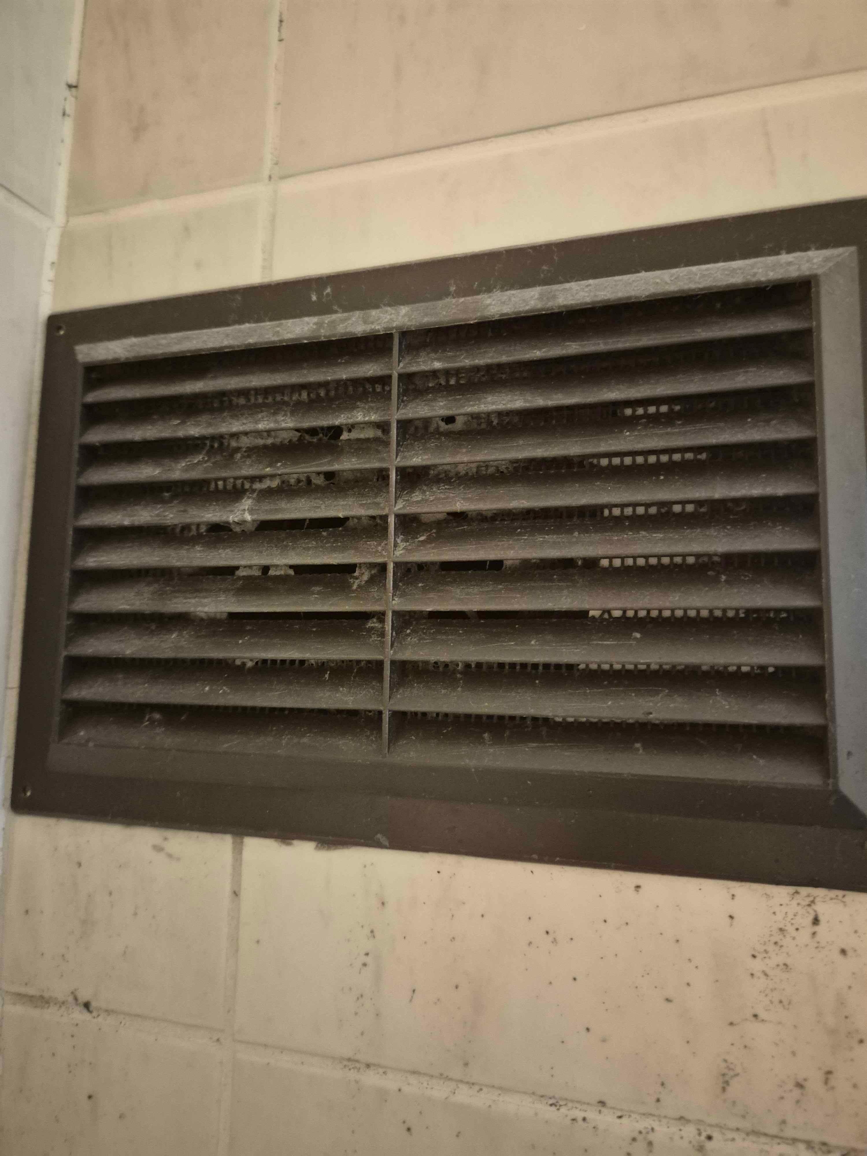 Molded and dirty vent in bathroom