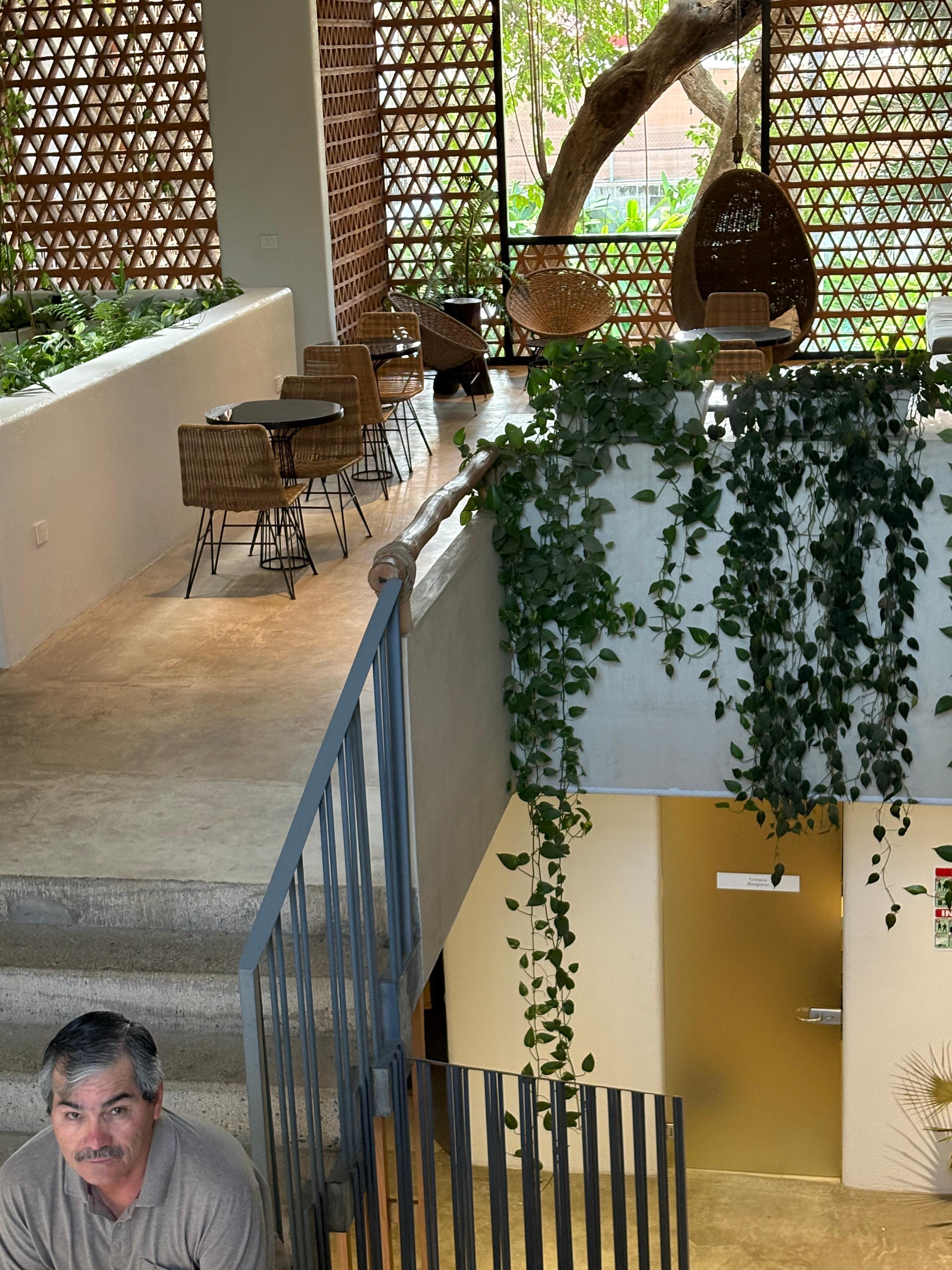 Área de estar acogedora, para leer.