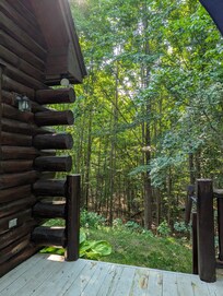 View of the woods from the deck