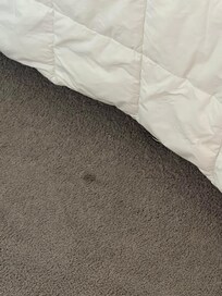2nd floor room carpet