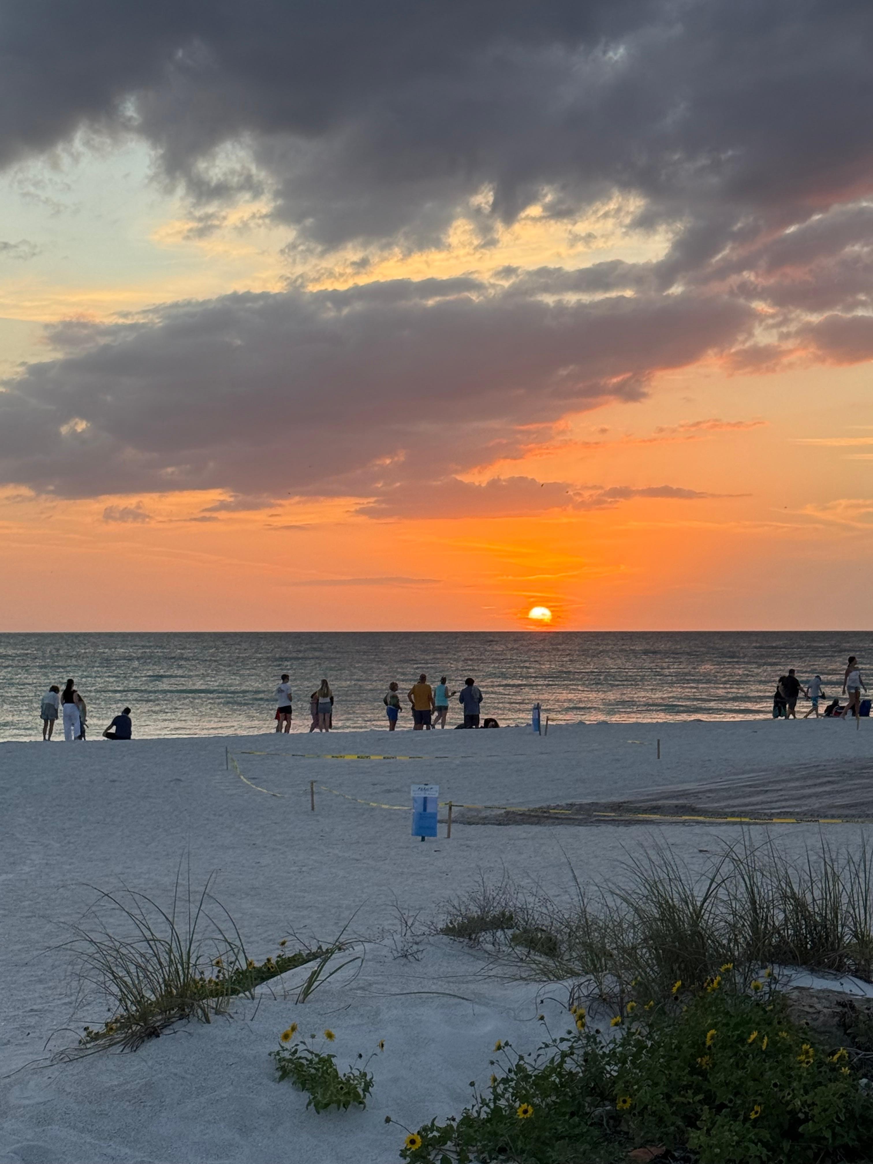 This is literally from the back patio.