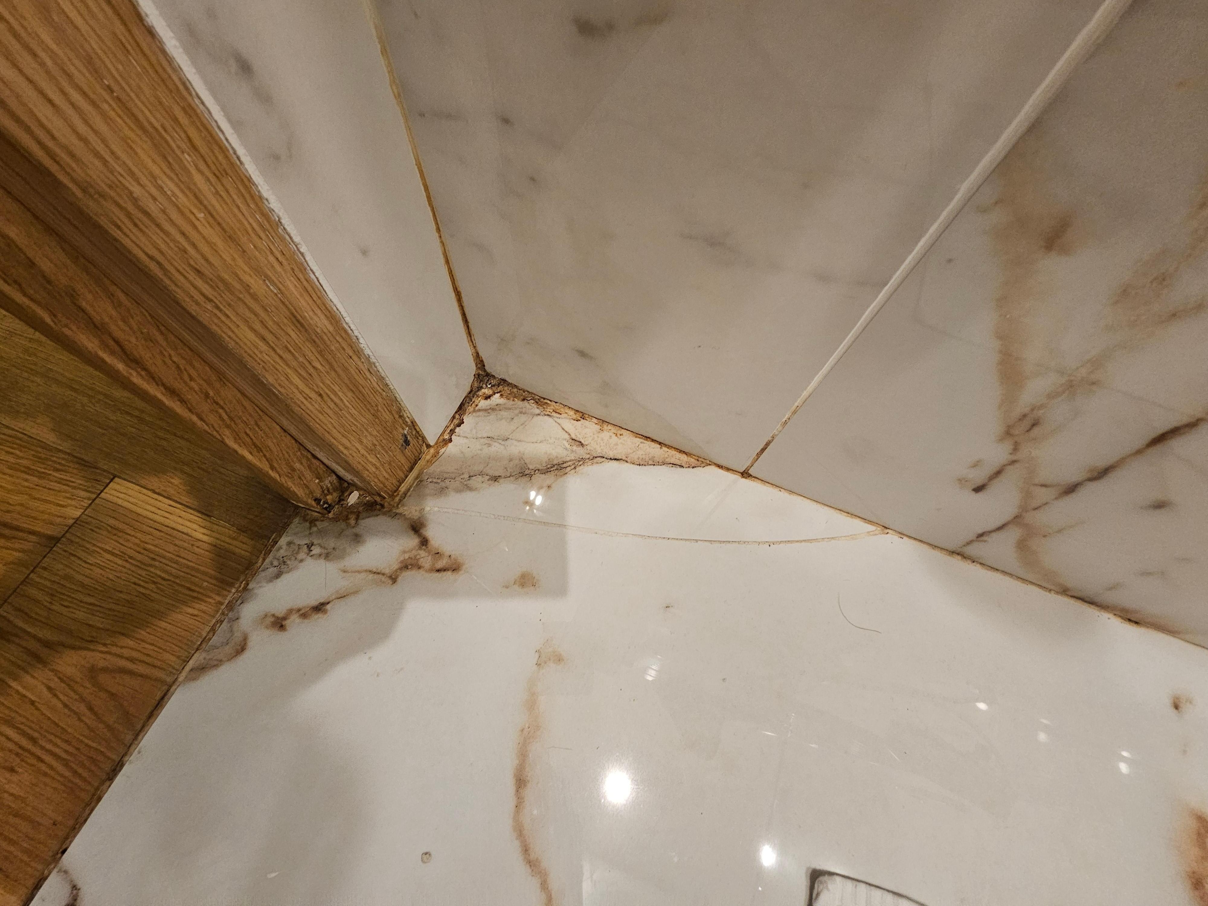 Bedroom mold to right of bed.