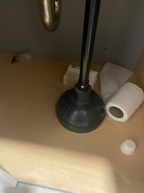 Under the bathroom sink