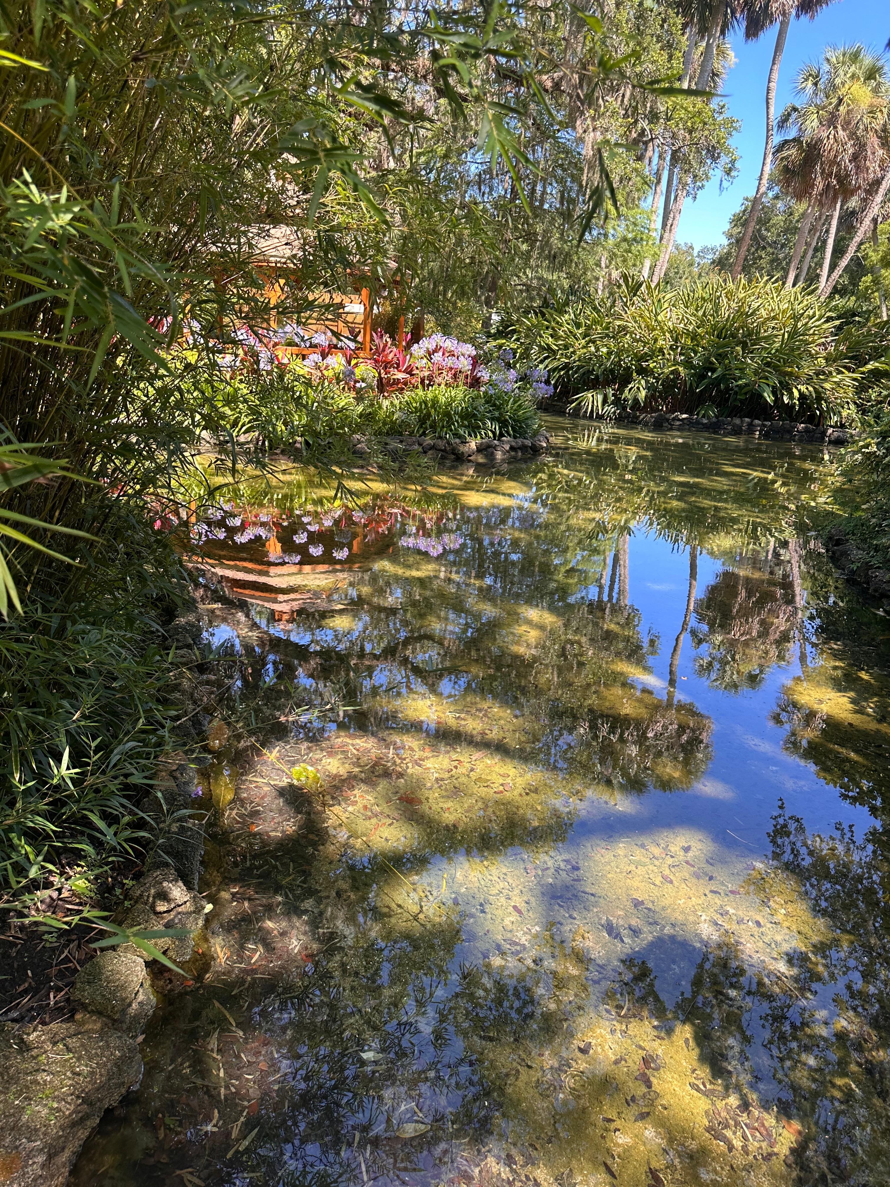 Washington Oaks State Park. 