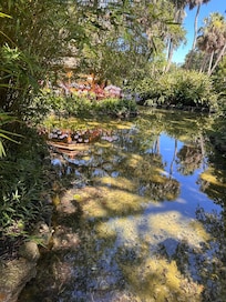Washington Oaks State Park.