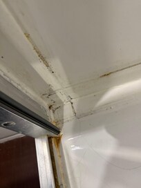Dirty, moldy shower