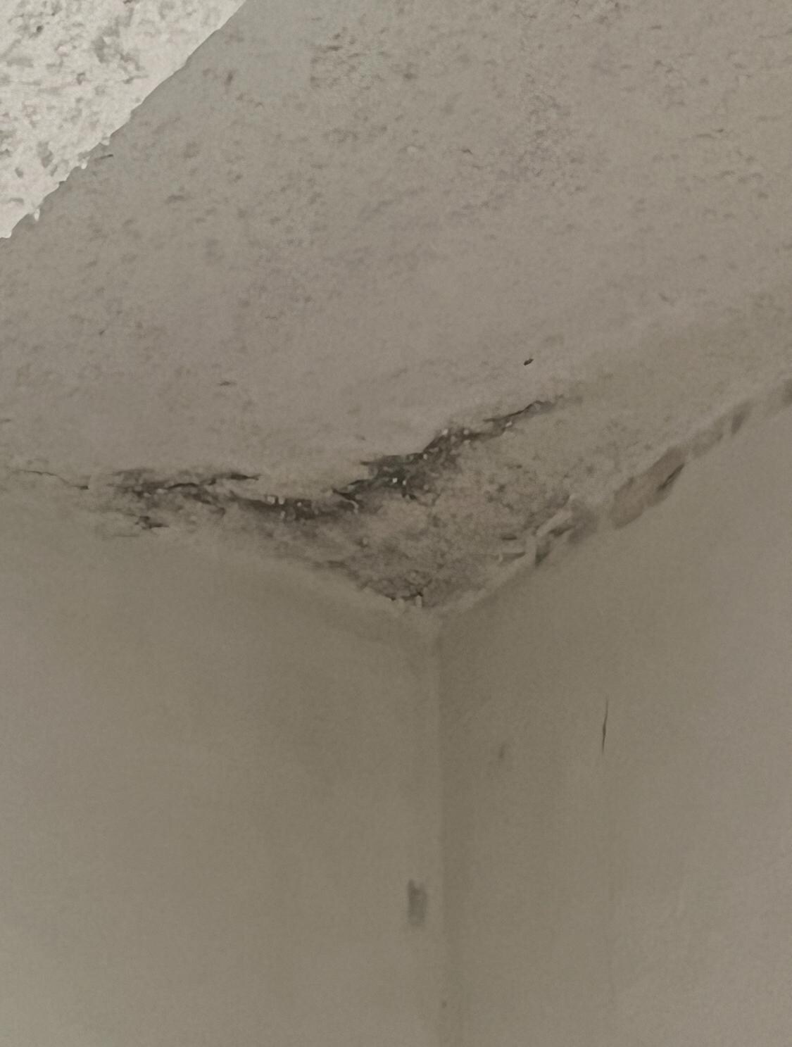 Mold in living area 