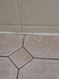 Bathroom floor.