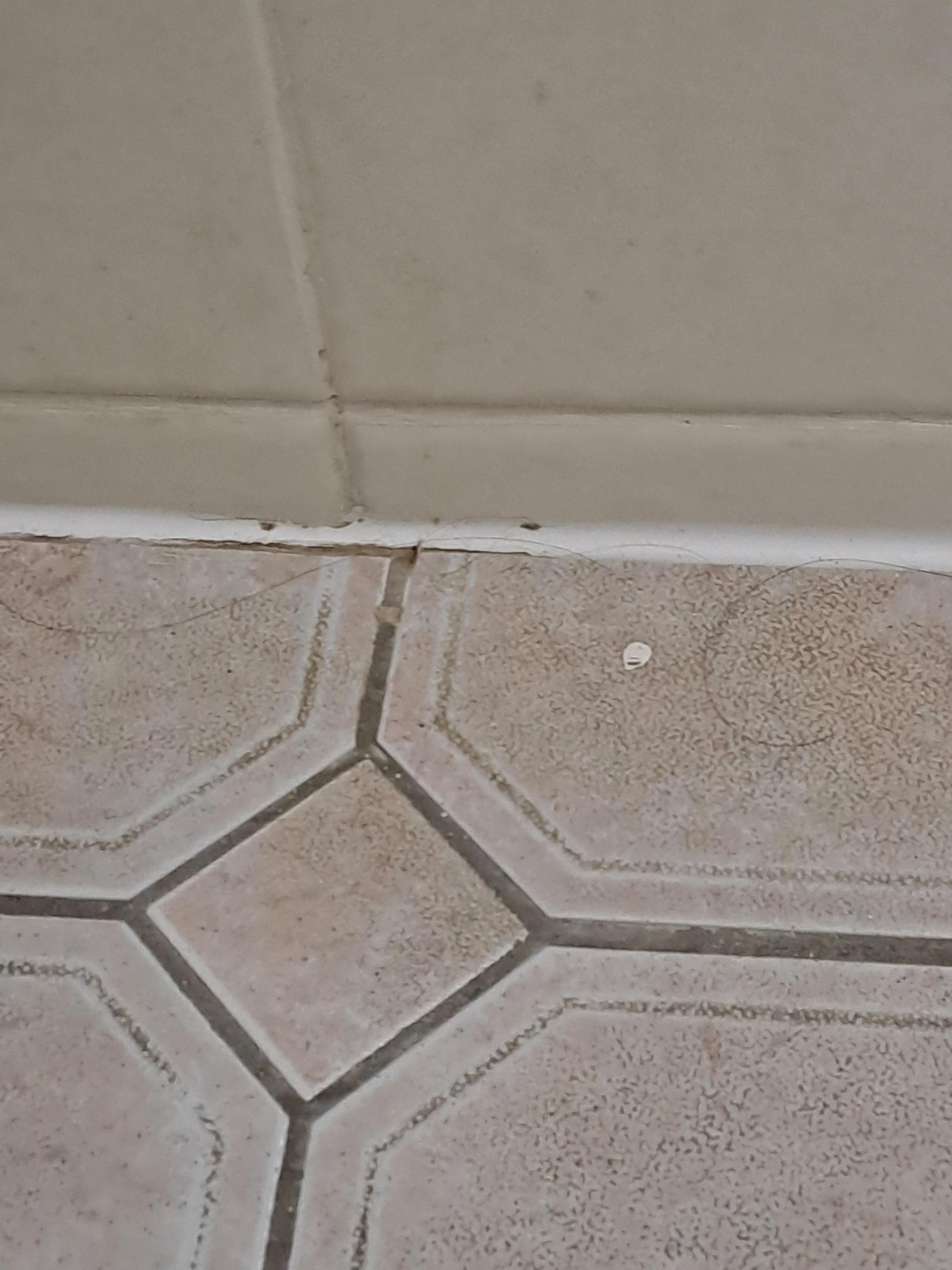 Bathroom floor.