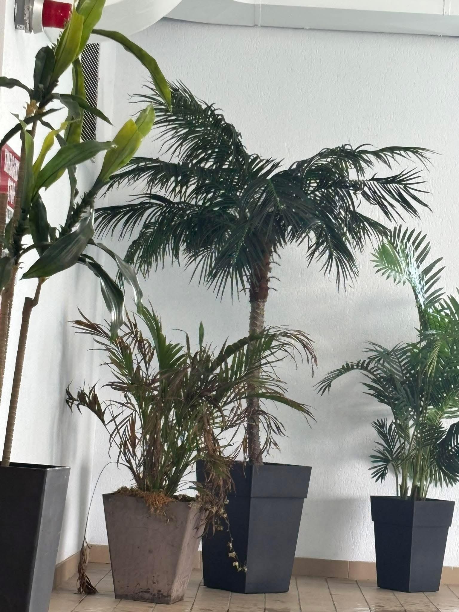 Little slice of “getaway” in March in Niagara Falls 