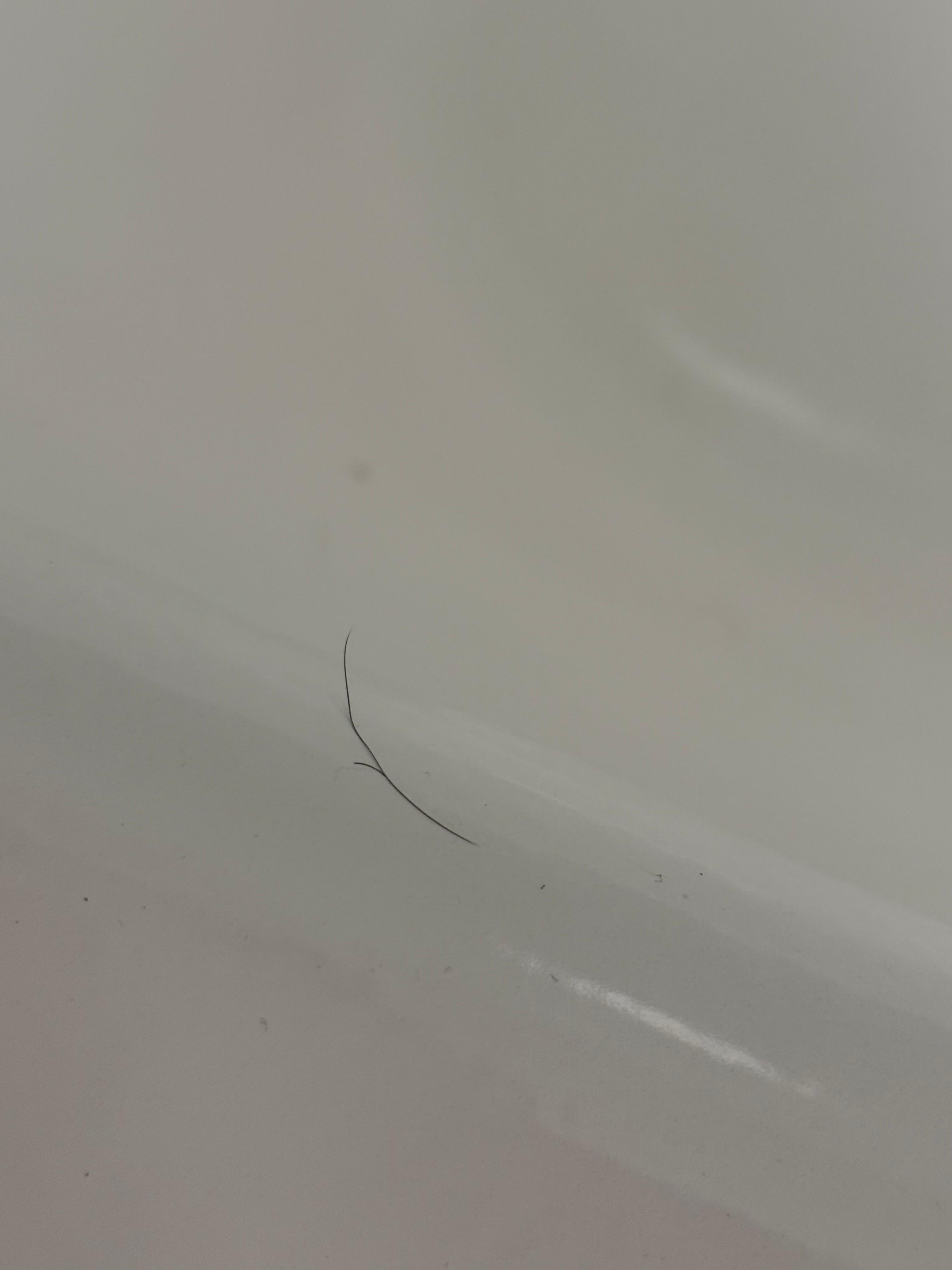 Hair 