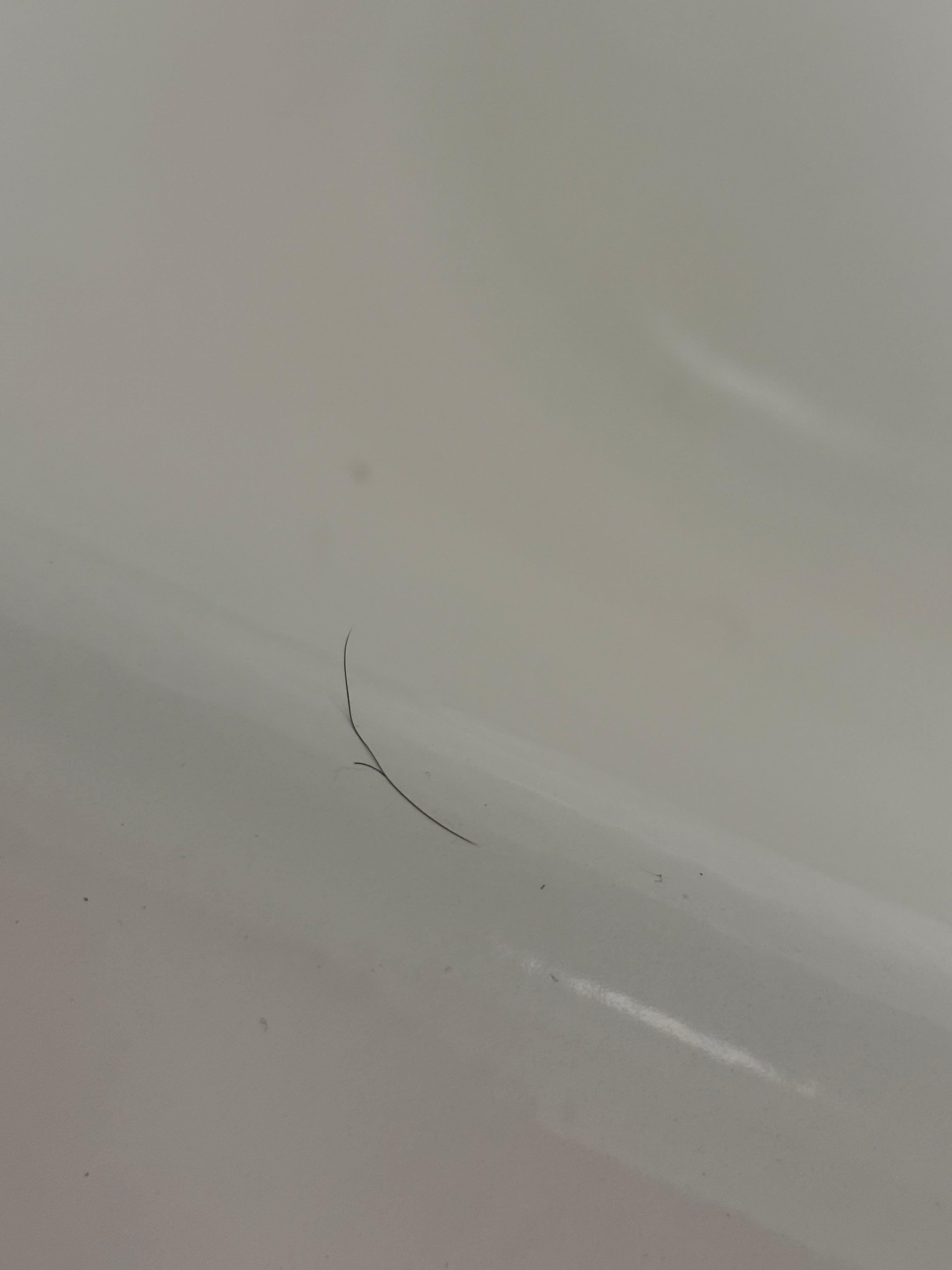 Hair