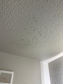 Mold on the bathroom ceiling