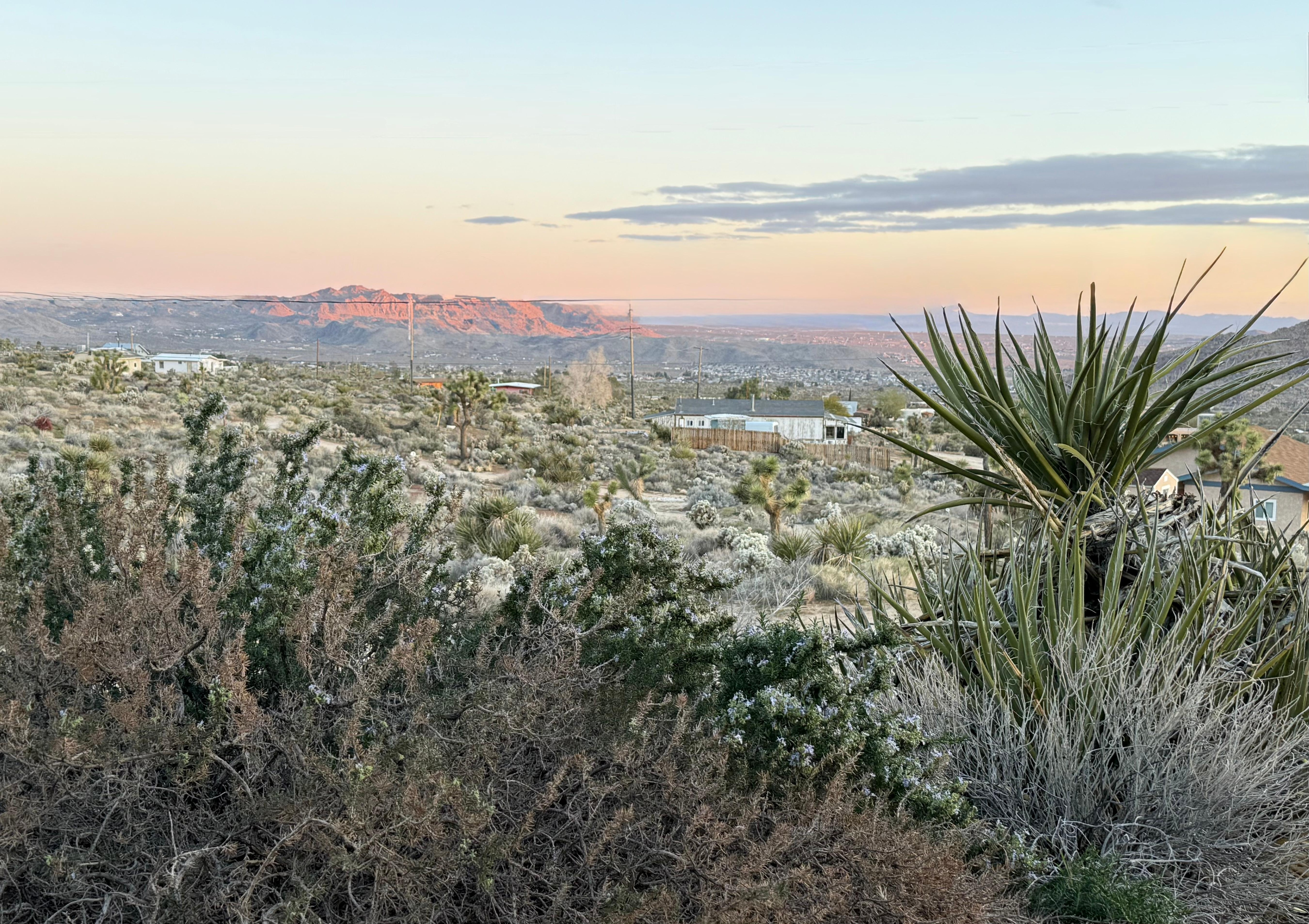 Sunrise looking north