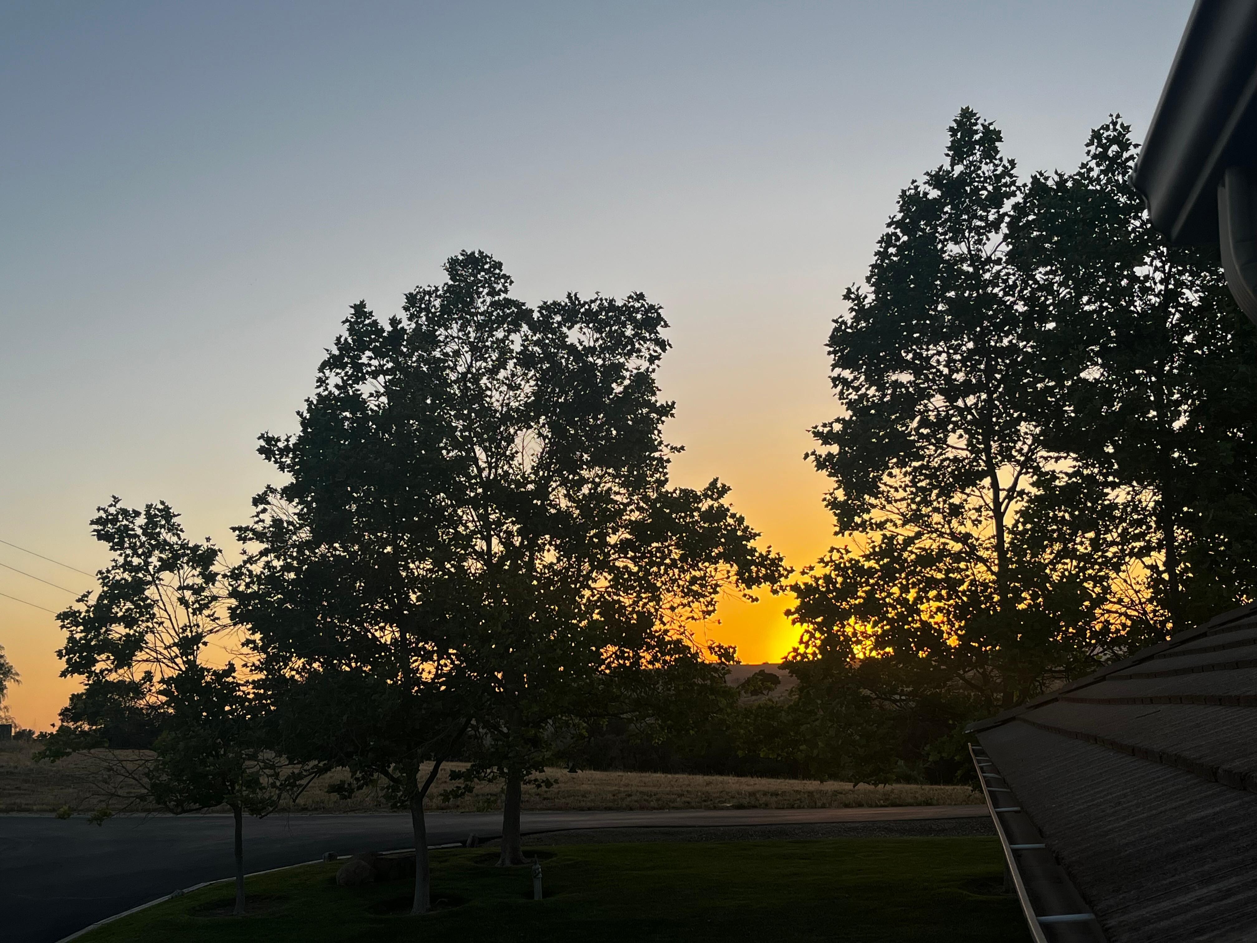 Sunset Views