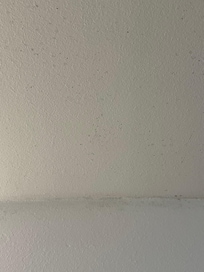 Mold on ceiling