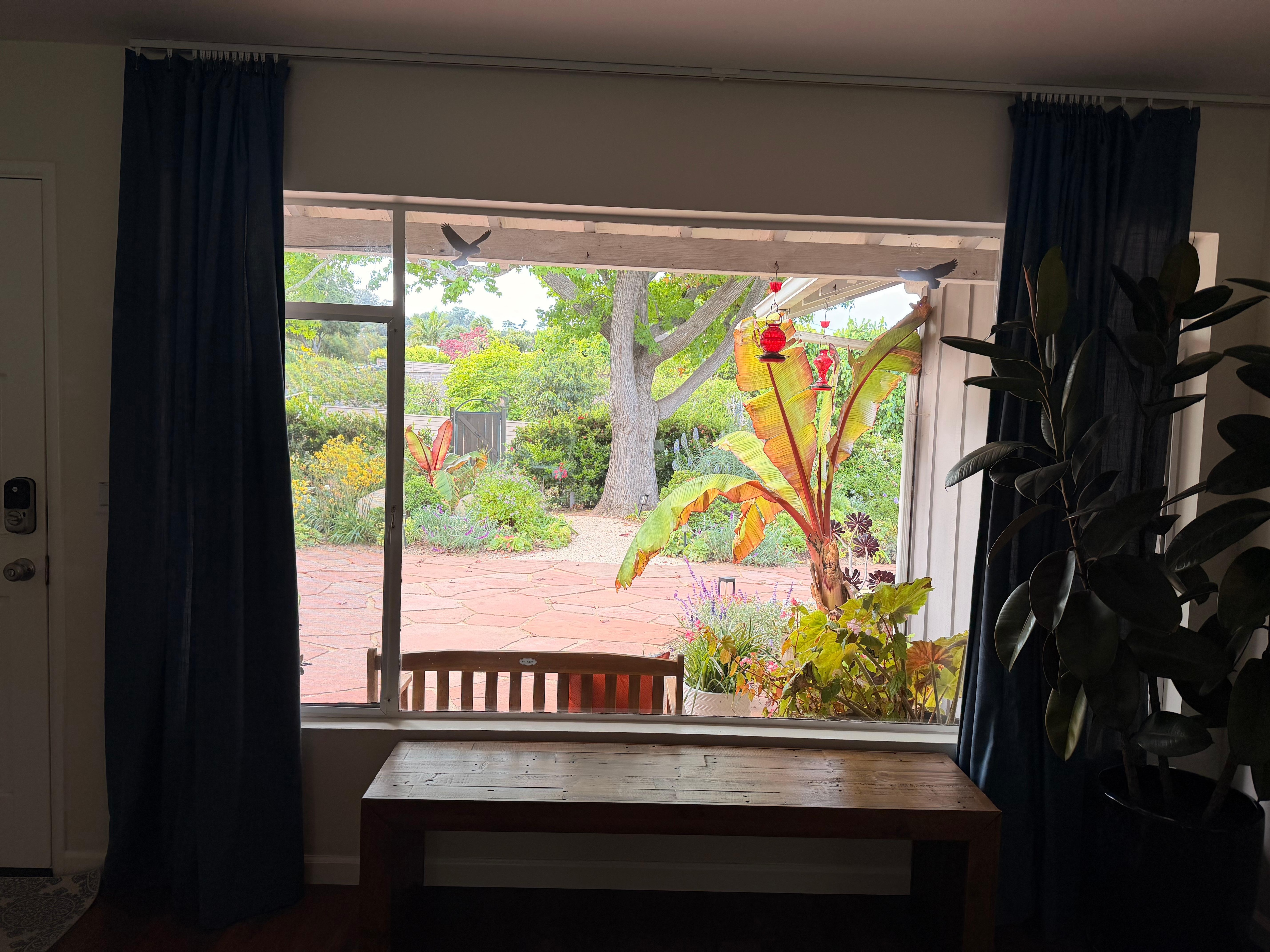 Window from living room