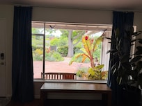 Window from living room
