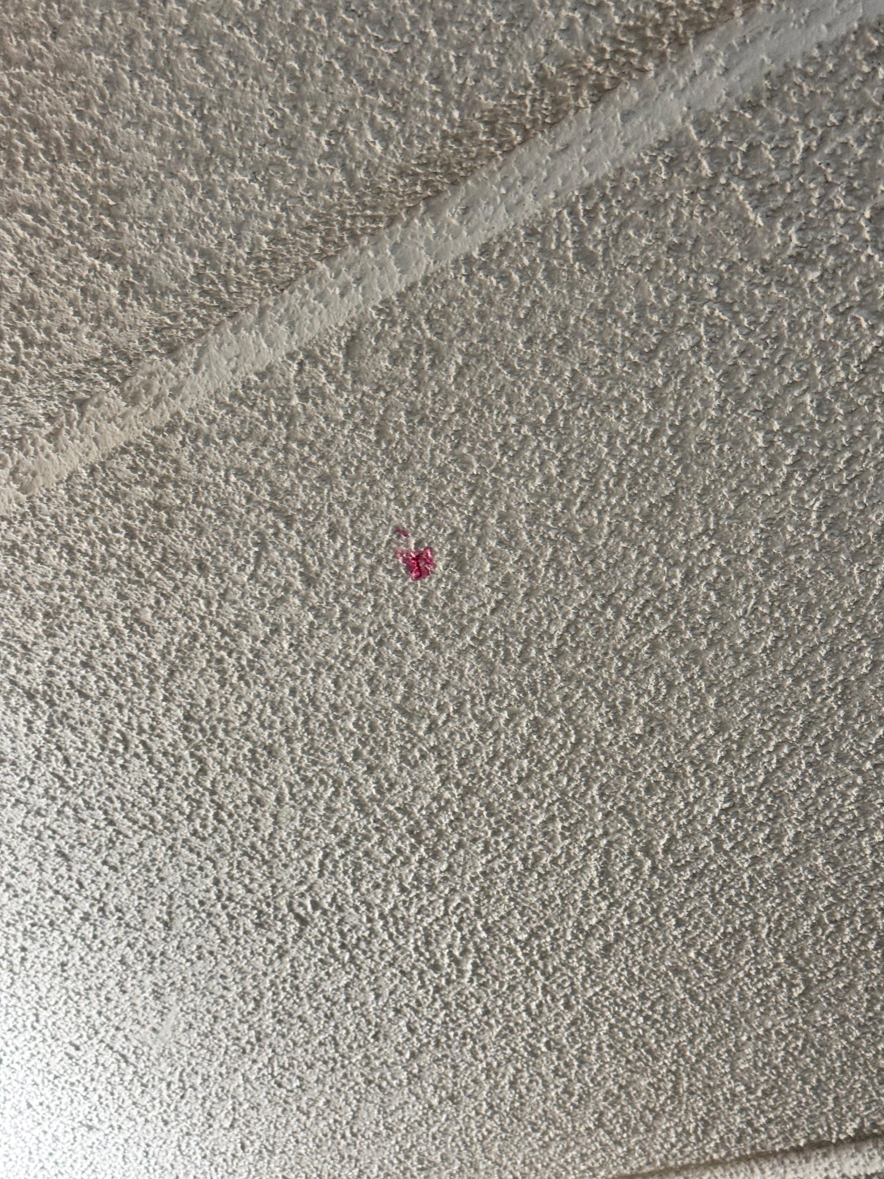 Red stains on the ceiling