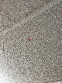 Red stains on the ceiling